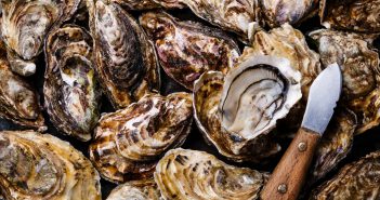 The Oyster Catcher Sydney Oyster Festival Aug 1-31 Aww Shucks